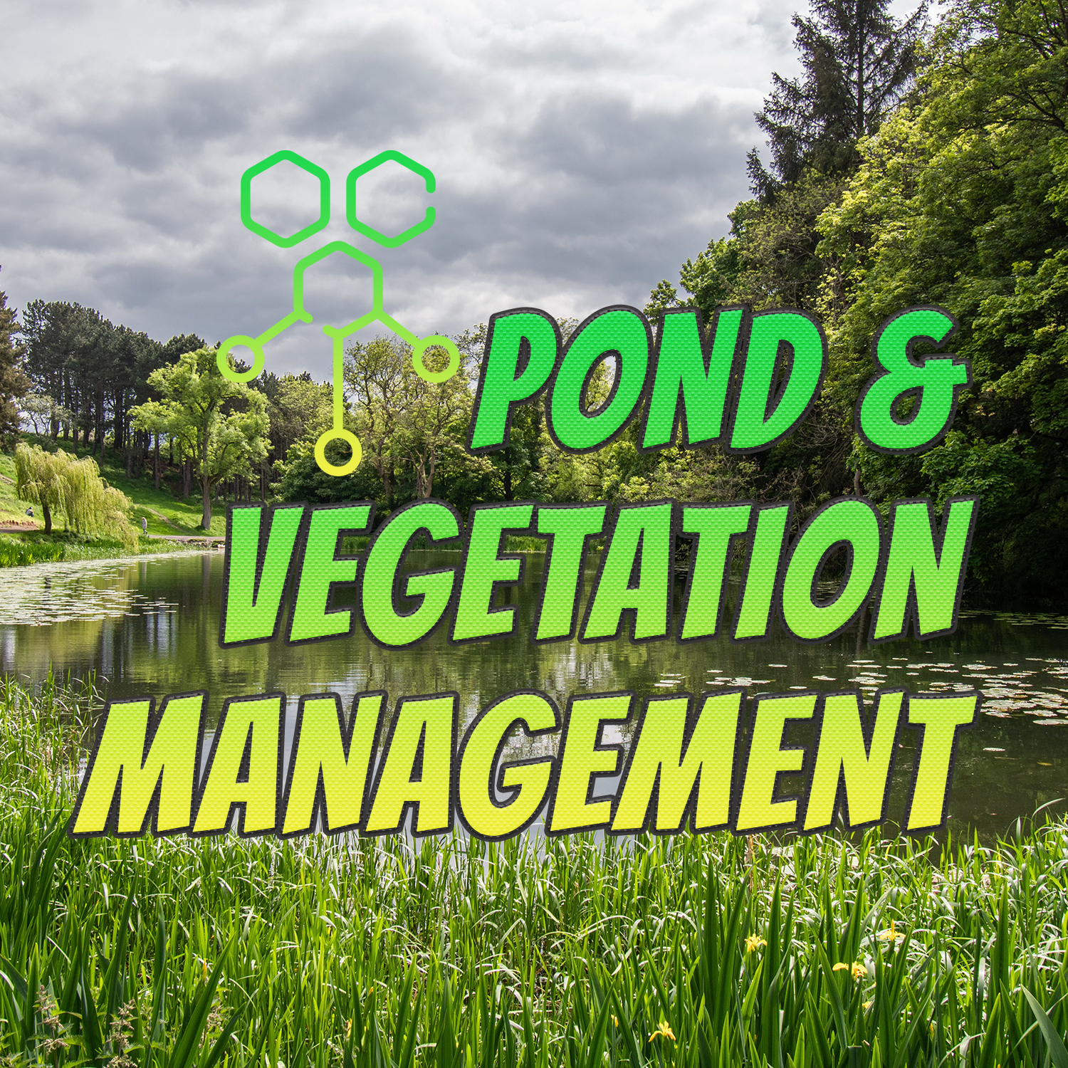 Pond & Vegetation Management