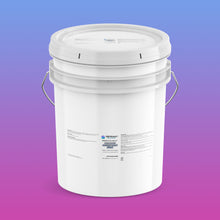 Load image into Gallery viewer, SEISMICLEAN MULTI PURPOSE PROTECTIVE COATING SBA295

